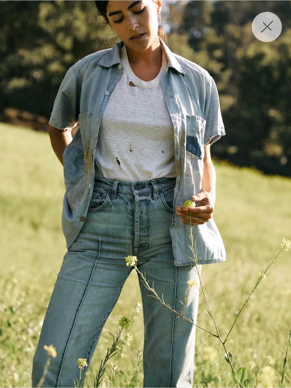 imogene + willie Wyatt jeans in Valdez color 28